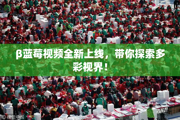 β蓝莓视频全新上线，带你探索多彩视界！