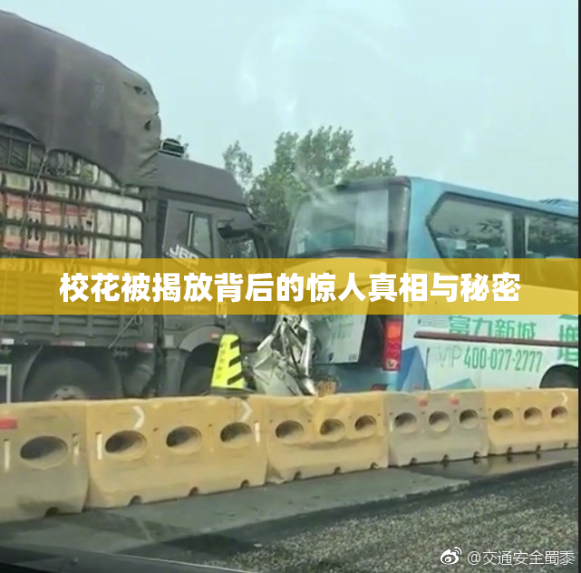校花被揭放背后的惊人真相与秘密