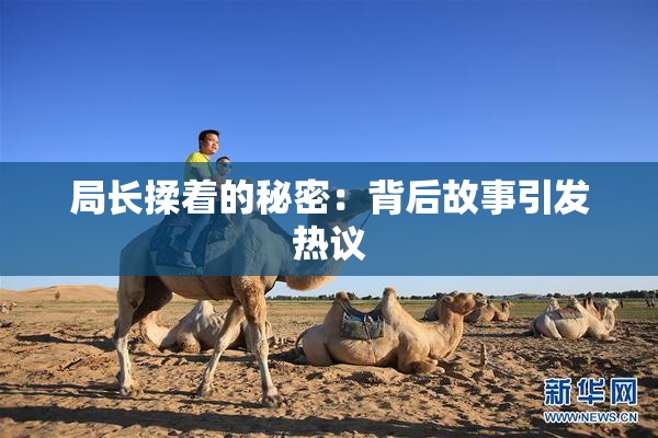 局长揉着的秘密：背后故事引发热议