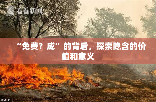 “免费？成”的背后，探索隐含的价值和意义