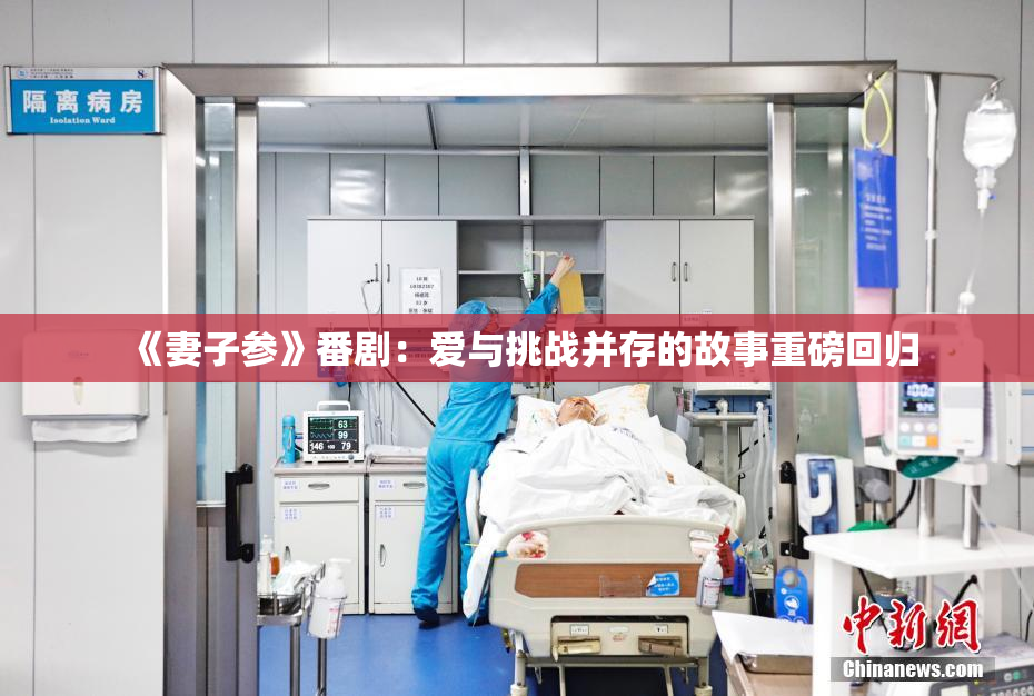 《妻子参》番剧：爱与挑战并存的故事重磅回归
