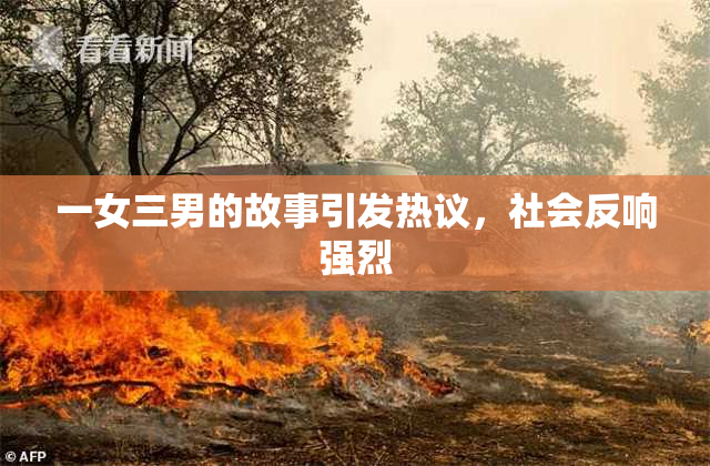 一女三男的故事引发热议，社会反响强烈