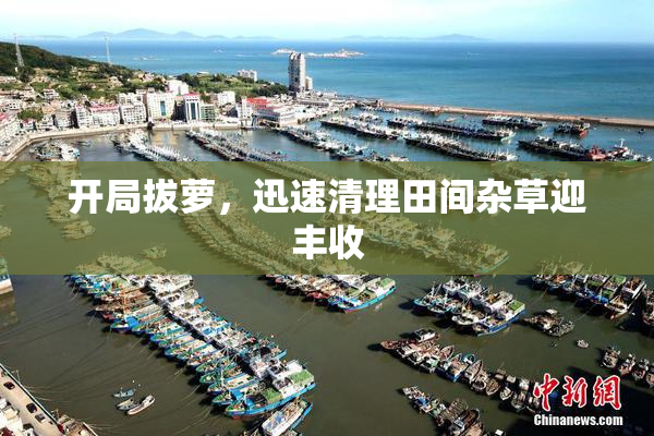 开局拔萝，迅速清理田间杂草迎丰收