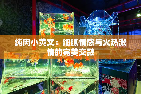 纯肉小黄文：细腻情感与火热激情的完美交融