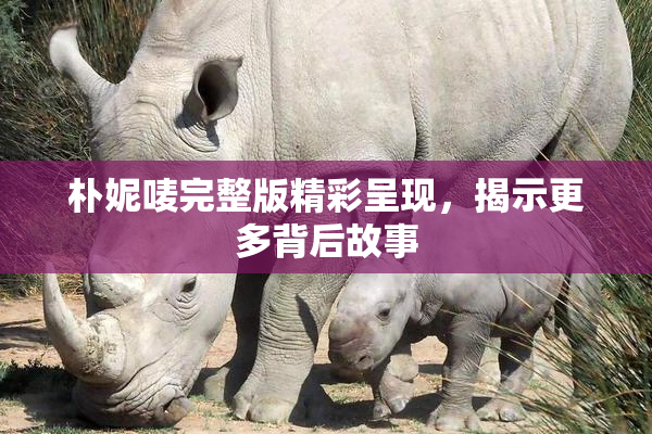 朴妮唛完整版精彩呈现，揭示更多背后故事
