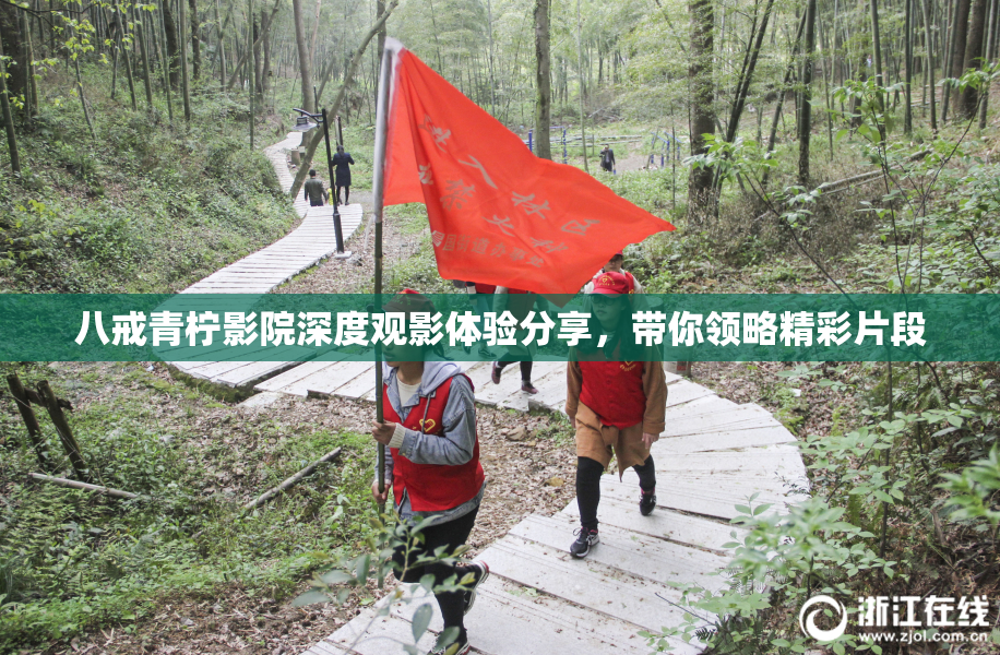 八戒青柠影院深度观影体验分享，带你领略精彩片段
