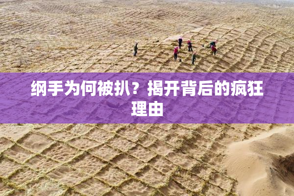 纲手为何被扒？揭开背后的疯狂理由