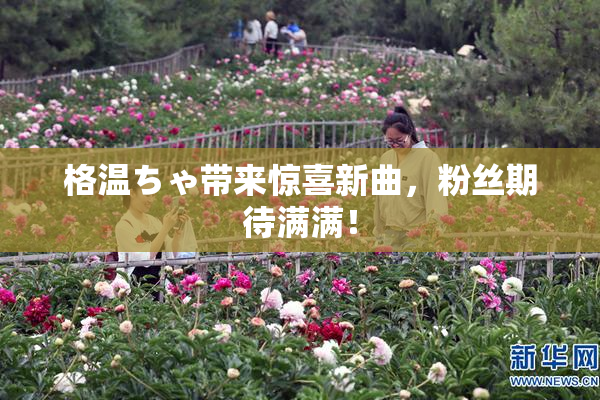 格温ちゃ带来惊喜新曲，粉丝期待满满！