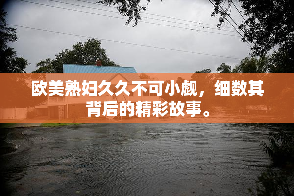 欧美熟妇久久不可小觑，细数其背后的精彩故事。