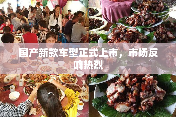 国产新款车型正式上市，市场反响热烈