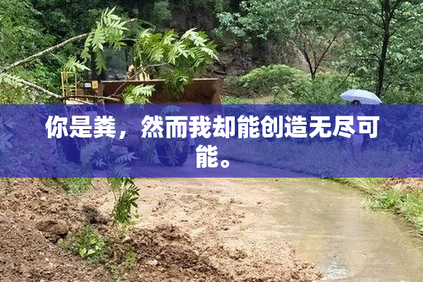 你是粪，然而我却能创造无尽可能。