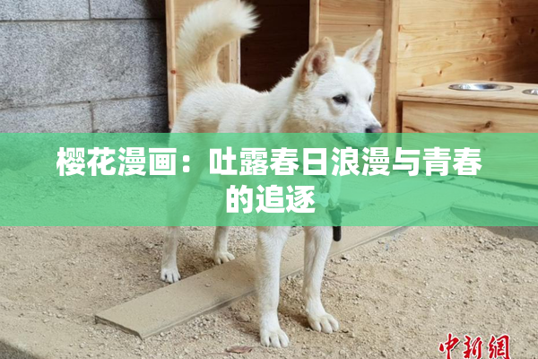 樱花漫画：吐露春日浪漫与青春的追逐