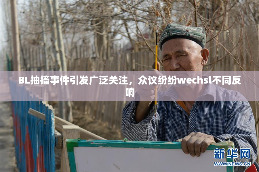 BL抽搐事件引发广泛关注，众议纷纷wechsl不同反响