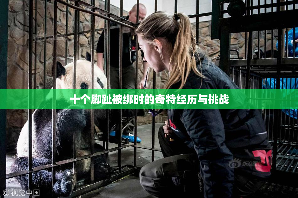 十个脚趾被绑时的奇特经历与挑战