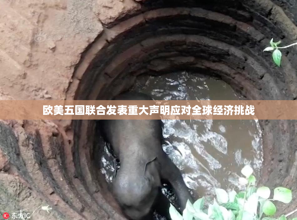 欧美五国联合发表重大声明应对全球经济挑战
