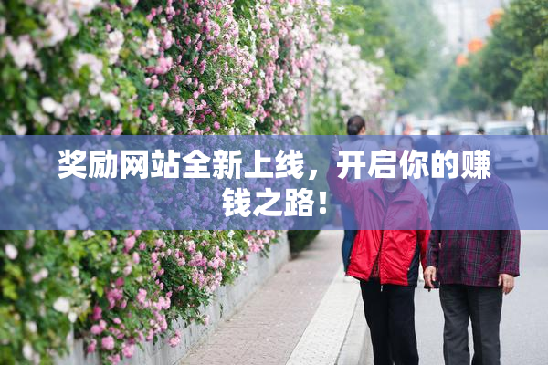 奖励网站全新上线，开启你的赚钱之路！