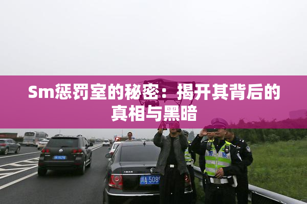 Sm惩罚室的秘密：揭开其背后的真相与黑暗