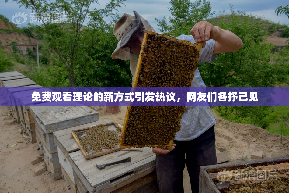免费观看理论的新方式引发热议，网友们各抒己见