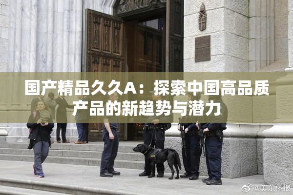 国产精品久久A：探索中国高品质产品的新趋势与潜力