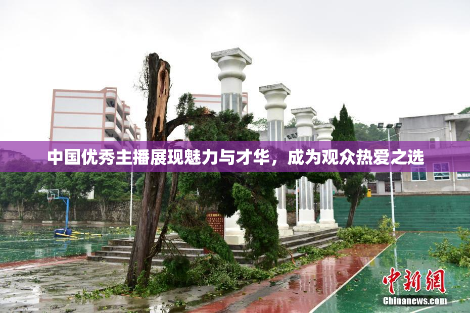 中国优秀主播展现魅力与才华，成为观众热爱之选