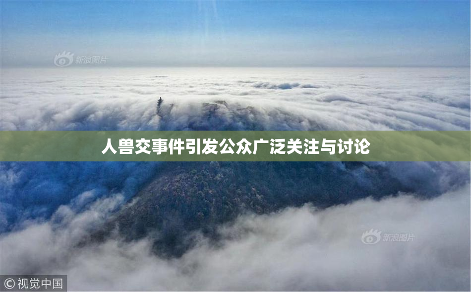人兽交事件引发公众广泛关注与讨论