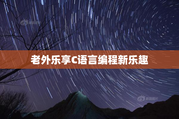 老外乐享C语言编程新乐趣