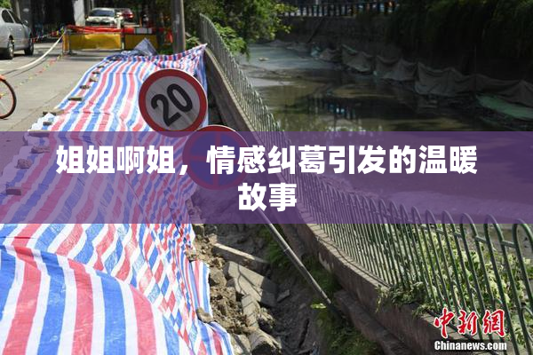 姐姐啊姐，情感纠葛引发的温暖故事