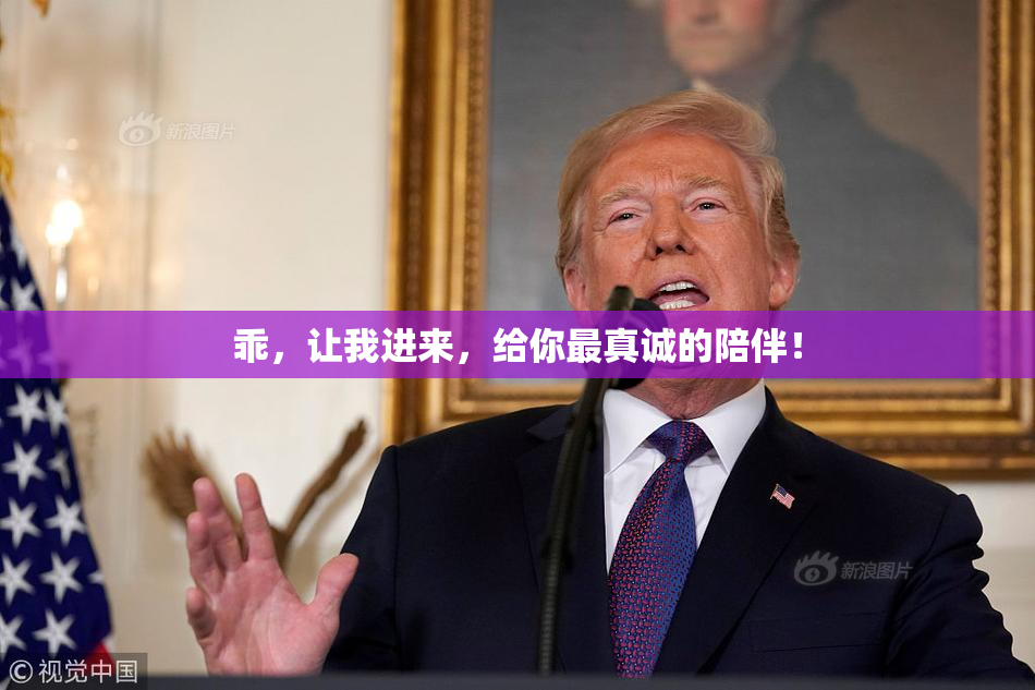 乖，让我进来，给你最真诚的陪伴！