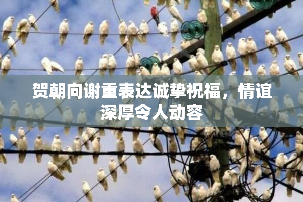 贺朝向谢重表达诚挚祝福，情谊深厚令人动容