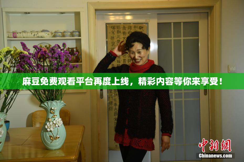 麻豆免费观看平台再度上线，精彩内容等你来享受！