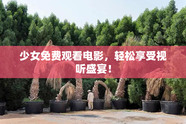 少女免费观看电影，轻松享受视听盛宴！