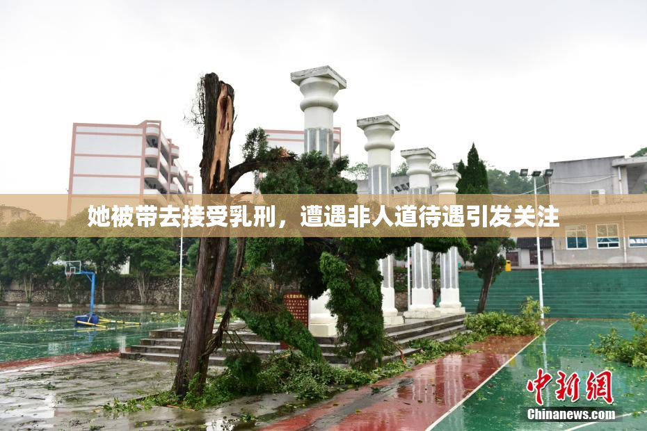 她被带去接受乳刑，遭遇非人道待遇引发关注