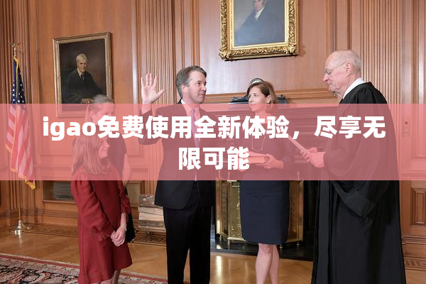 igao免费使用全新体验，尽享无限可能