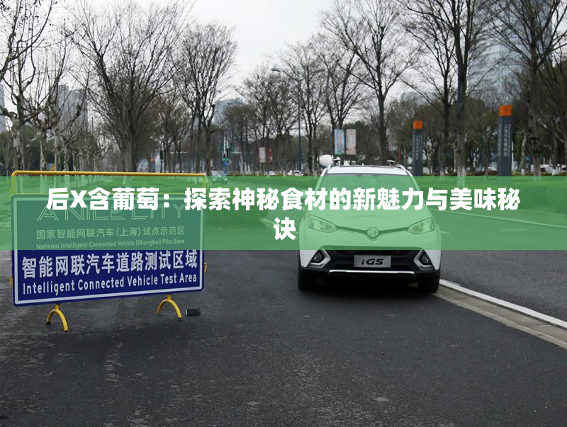 后X含葡萄：探索神秘食材的新魅力与美味秘诀