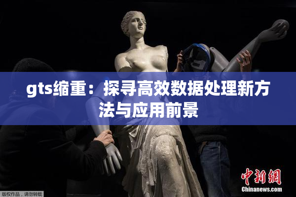 gts缩重：探寻高效数据处理新方法与应用前景