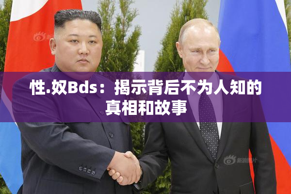 性.奴Bds：揭示背后不为人知的真相和故事