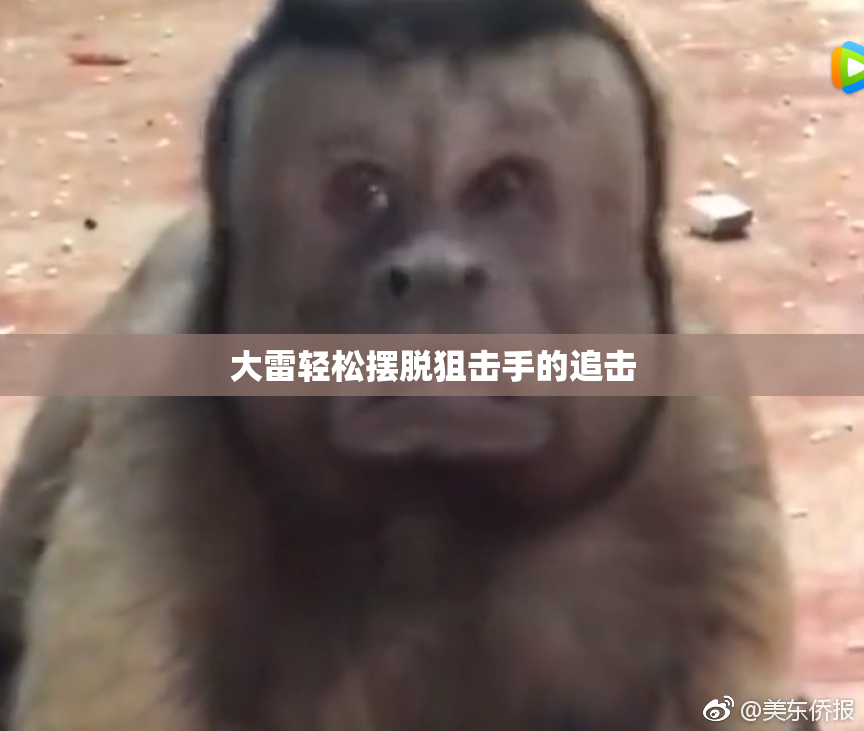 大雷轻松摆脱狙击手的追击