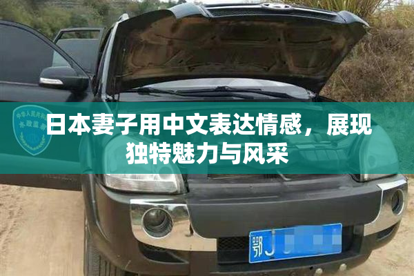 日本妻子用中文表达情感，展现独特魅力与风采