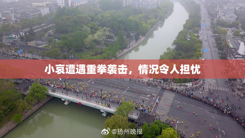 小哀遭遇重拳袭击，情况令人担忧