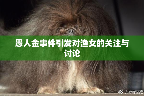 愚人金事件引发对渔女的关注与讨论