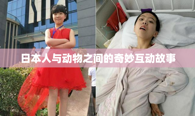 日本人与动物之间的奇妙互动故事