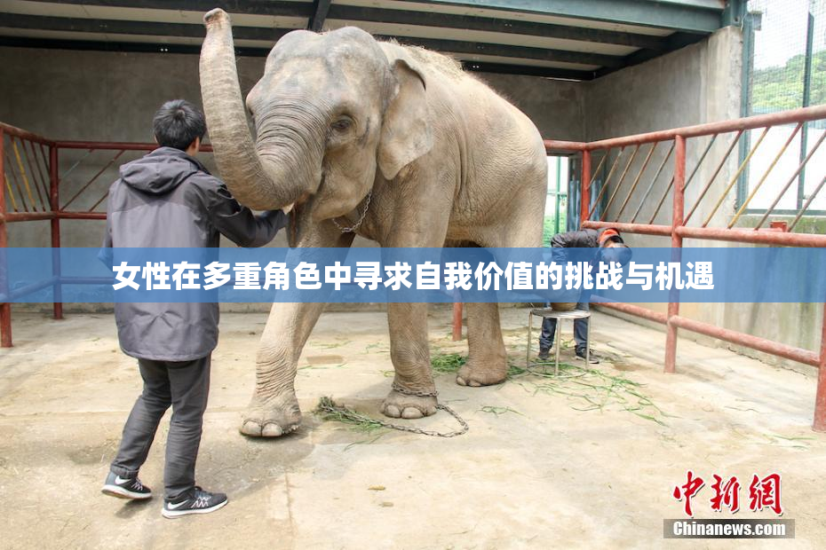 女性在多重角色中寻求自我价值的挑战与机遇