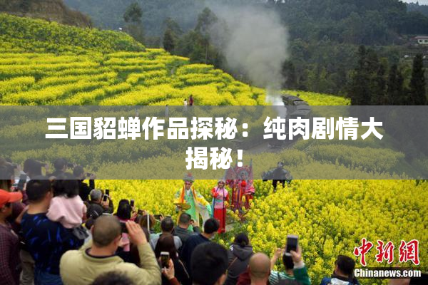 三国貂蝉作品探秘：纯肉剧情大揭秘！