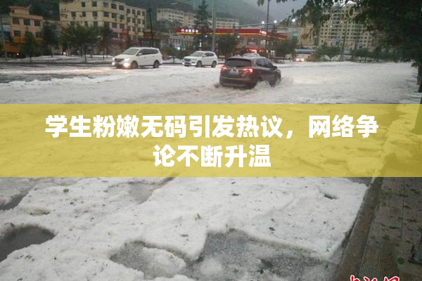 学生粉嫩无码引发热议，网络争论不断升温