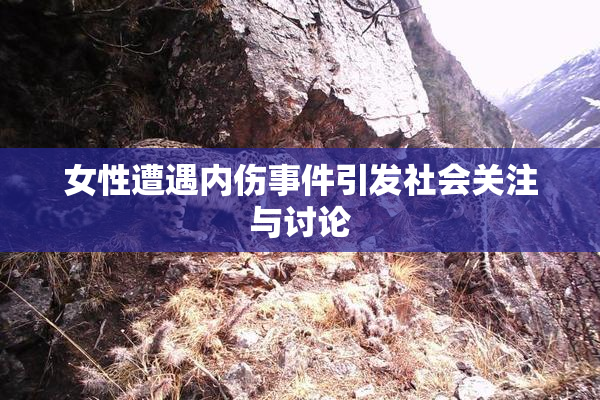 女性遭遇内伤事件引发社会关注与讨论