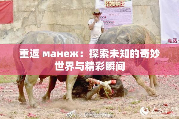 重返 манеж：探索未知的奇妙世界与精彩瞬间