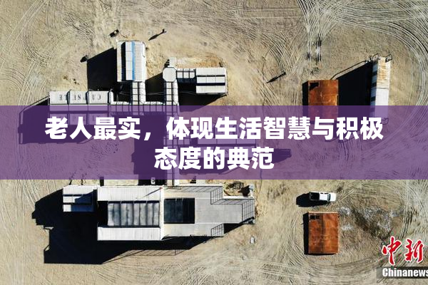 老人最实，体现生活智慧与积极态度的典范