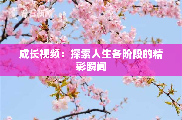 成长视频：探索人生各阶段的精彩瞬间