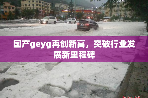 国产geyg再创新高，突破行业发展新里程碑