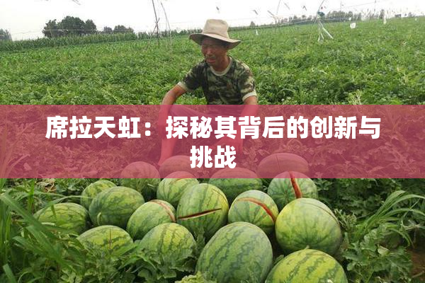 席拉天虹：探秘其背后的创新与挑战